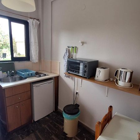 Antzela Apartments シダリオン エクステリア 写真